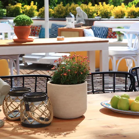 وسبا كوم غولتوركبوكو