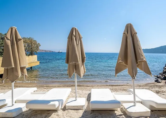 Kuum & Göltürkbükü